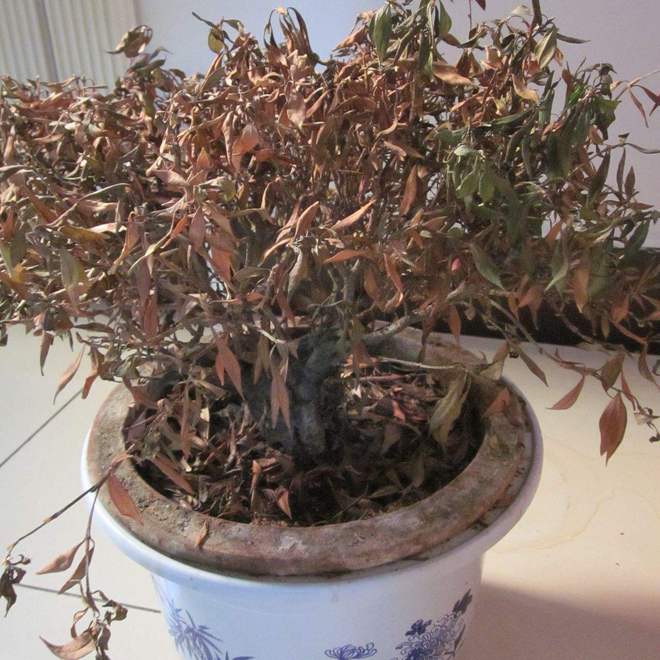 ”家里有这5种物品一定要尽早处理掉！凯发K8首页登录俗话说：“财不入脏屋(图4)